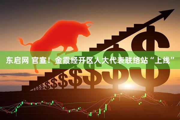 东启网 官宣！金霞经开区人大代表联络站“上线”