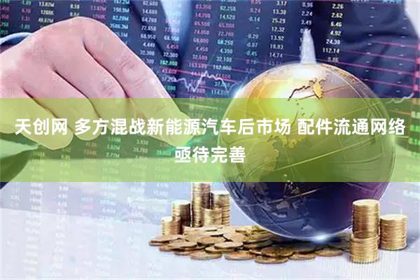 天创网 多方混战新能源汽车后市场 配件流通网络亟待完善