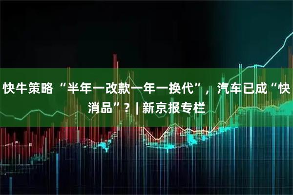 快牛策略 “半年一改款一年一换代”，汽车已成“快消品”？| 新京报专栏