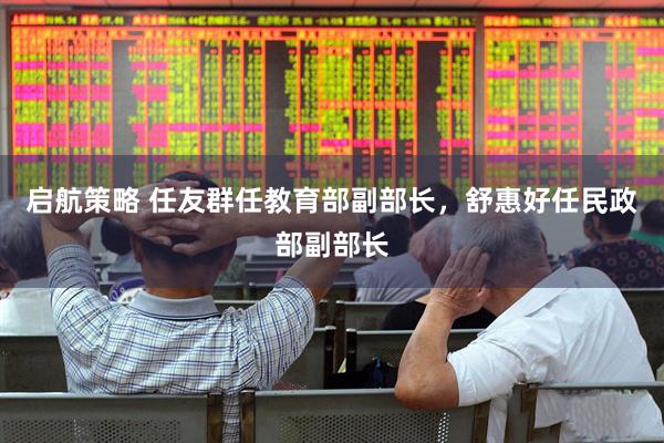 启航策略 任友群任教育部副部长，舒惠好任民政部副部长