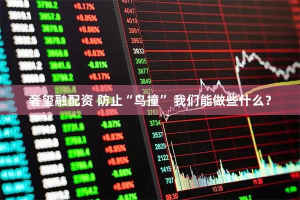 奢玺融配资 防止“鸟撞” 我们能做些什么？