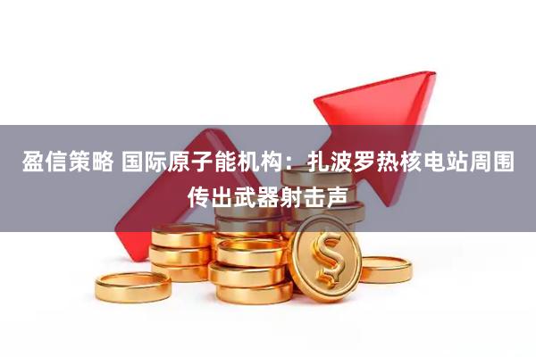盈信策略 国际原子能机构：扎波罗热核电站周围传出武器射击声