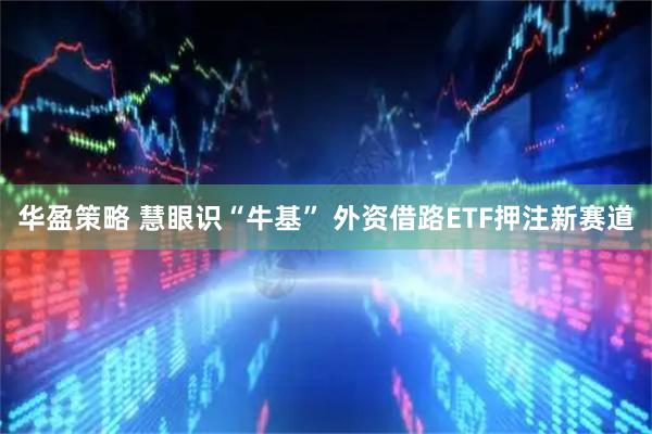 华盈策略 慧眼识“牛基” 外资借路ETF押注新赛道