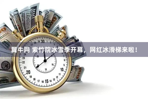 翼牛网 紫竹院冰雪季开幕，网红冰滑梯来啦！